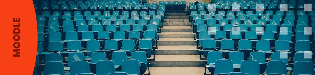 El projecte My Big Campus de l’escola Tamarind Tree