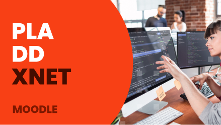 Pla DD Xnet