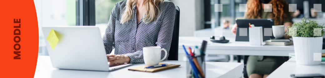 Safe Exam Browser (SEB)