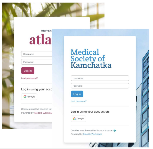 Diseño novedoso del área de Login