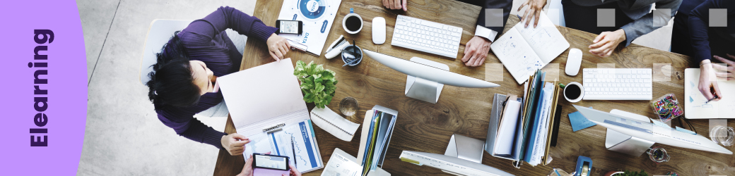 Quins professionals necessita un projecte e-learning