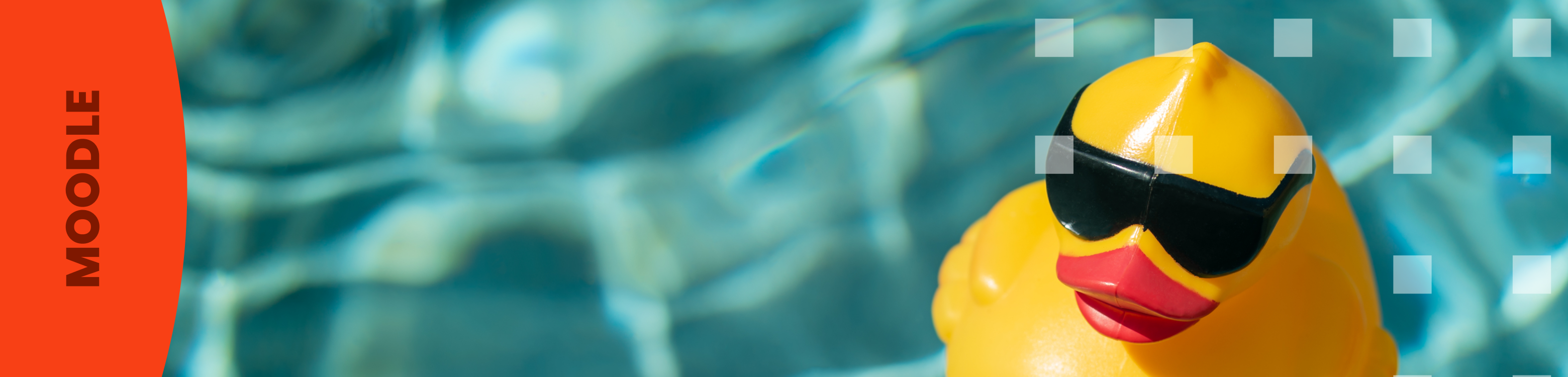 Novetats Moodle 4.3, l'última versió