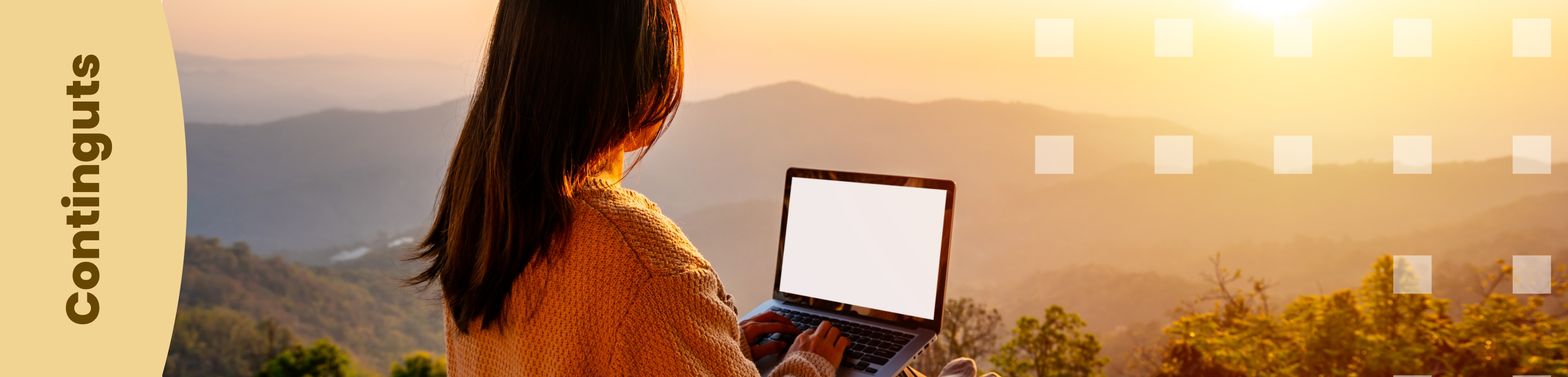 Com impartir formació professional online