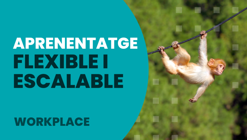 portada_aprenentatge flexible i escalable