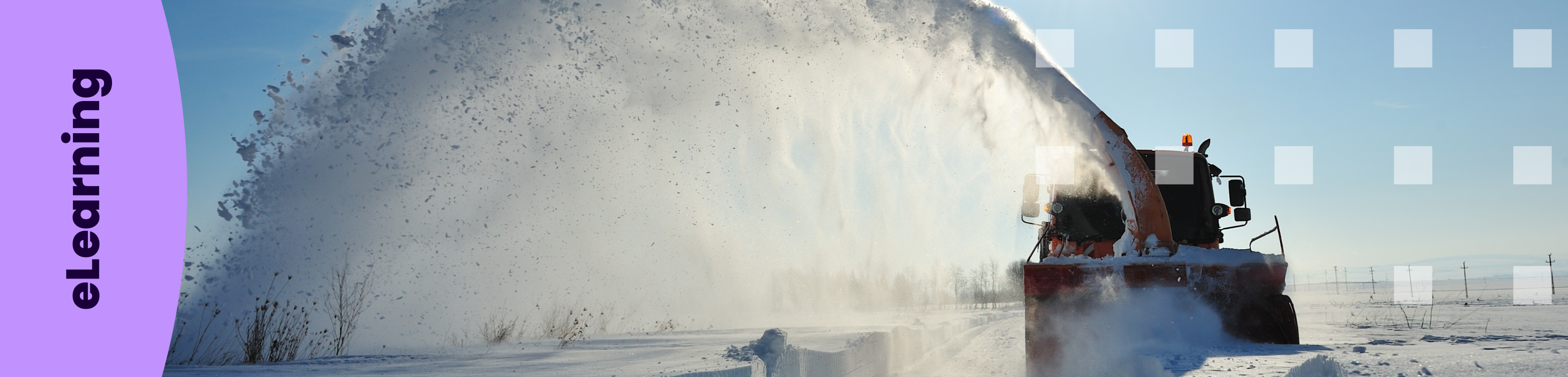 Usos que tindrà la formació elearning en 2024