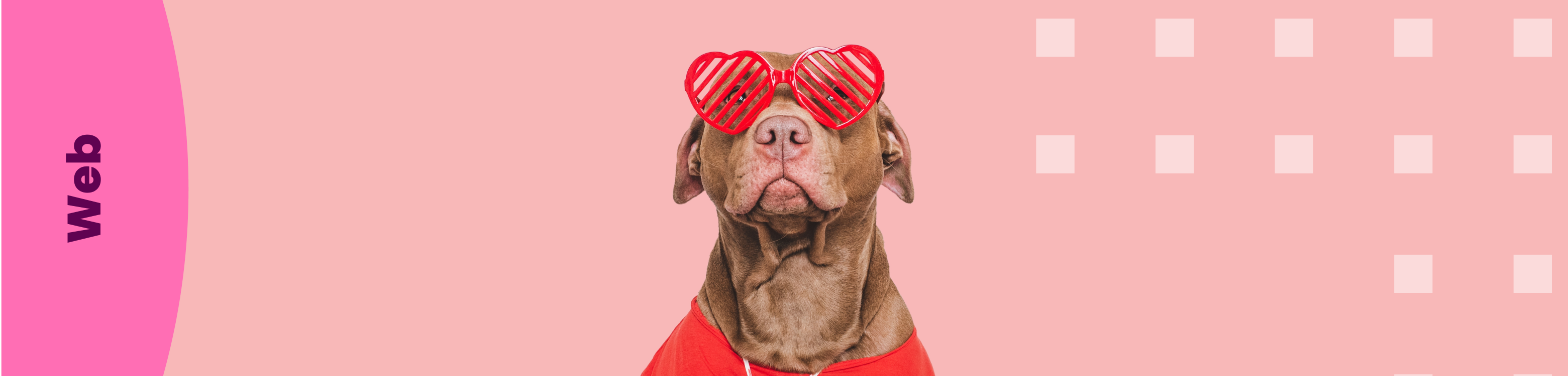 Potencial educatiu: com Wordpress destaca per la seva versatilitat