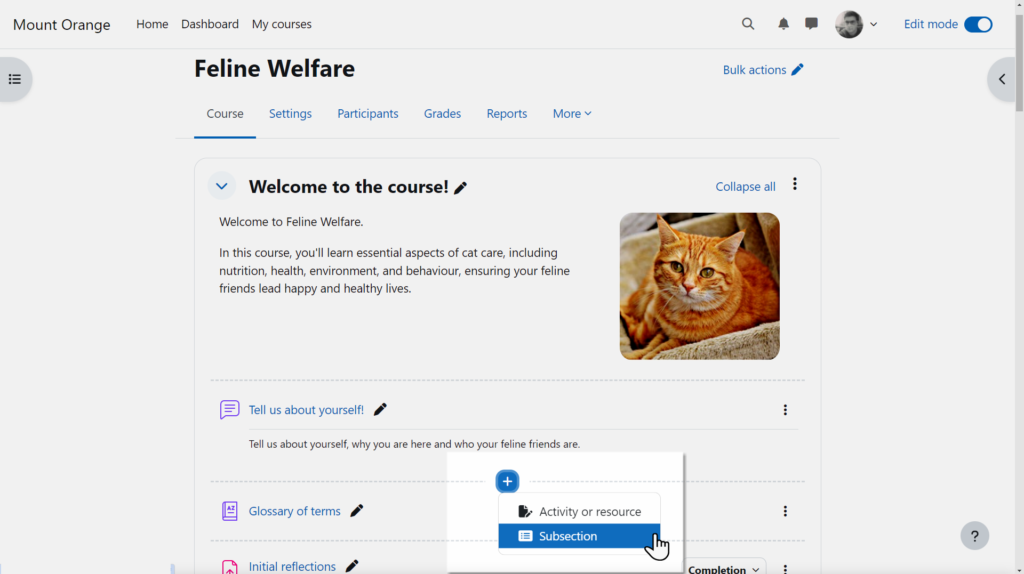 subseccions moodle 4.5