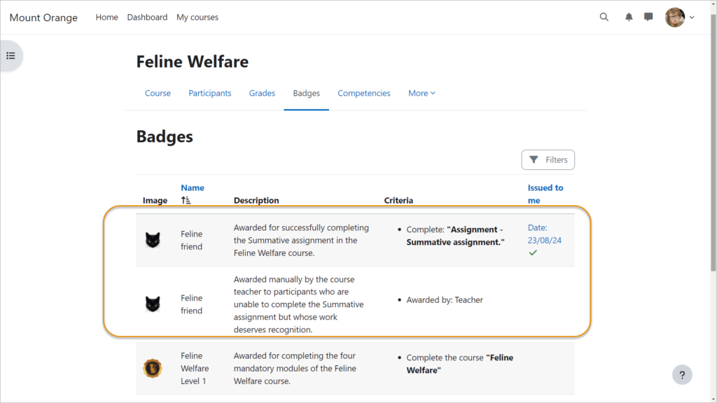 insignies moodle 4.5